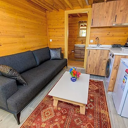 Anatolian Fethiye Cedit